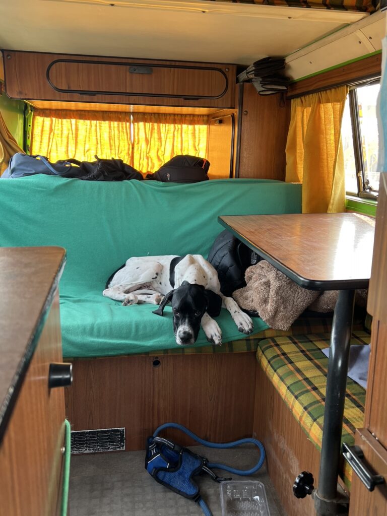 Rocco acostado en el asiento cama de la combi