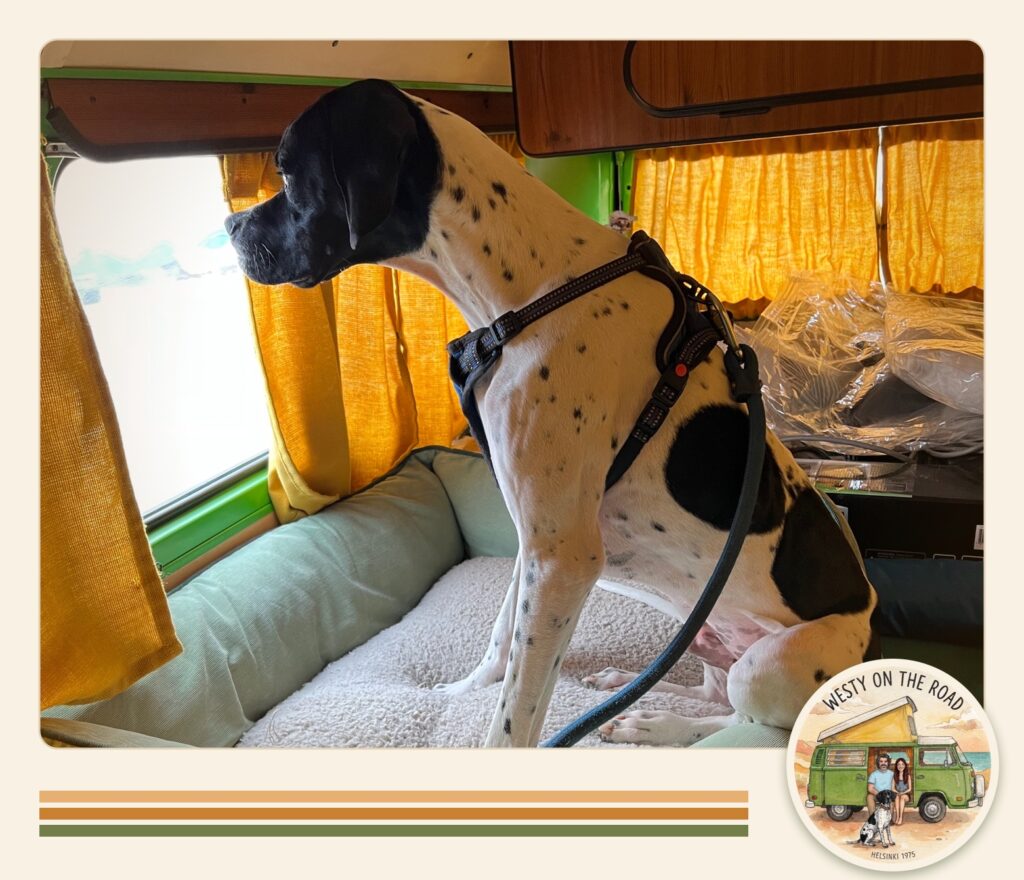 Rocco sentado en su cama dentro de la combi